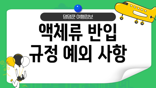 액체류 반입 규정 예외 사항