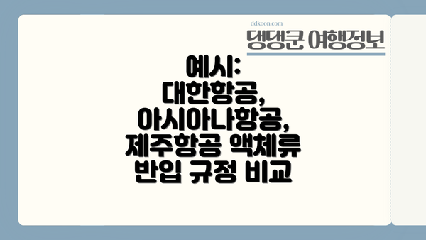 예시:  대한항공, 아시아나항공, 제주항공 액체류 반입 규정 비교