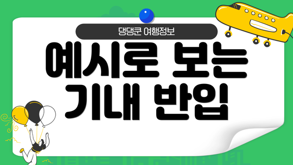 예시로 보는 기내 반입