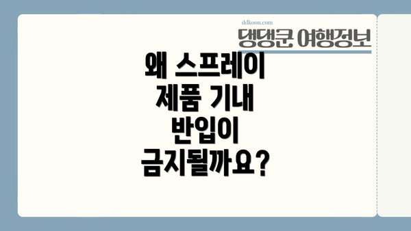 왜 스프레이 제품 기내 반입이 금지될까요?