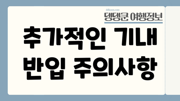 추가적인 기내 반입 주의사항