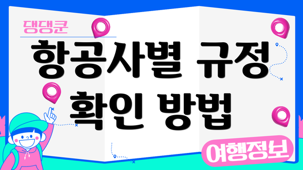 항공사별 규정 확인 방법