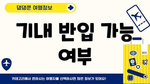 기내 반입 가능 여부