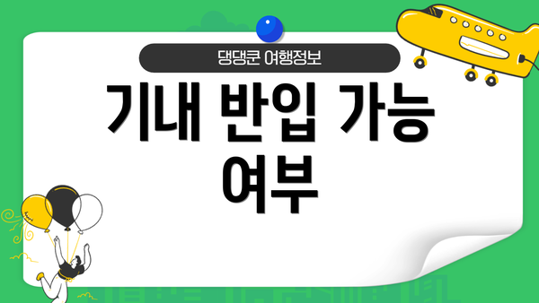 기내 반입 가능 여부