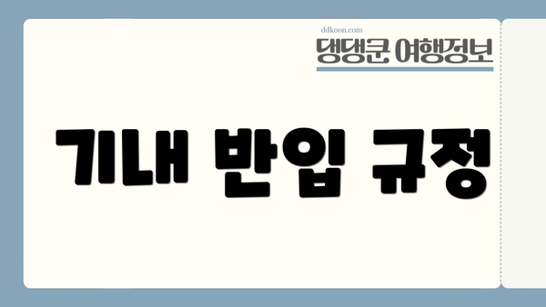 기내 반입 규정