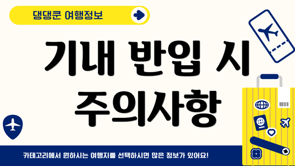 기내 반입 시 주의사항