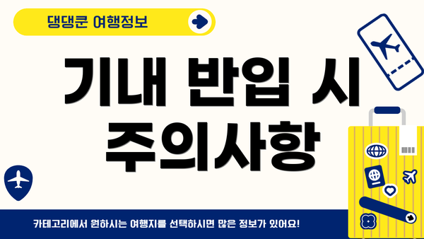 기내 반입 시 주의사항