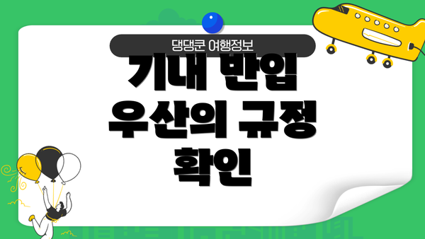 기내 반입 우산의 규정 확인