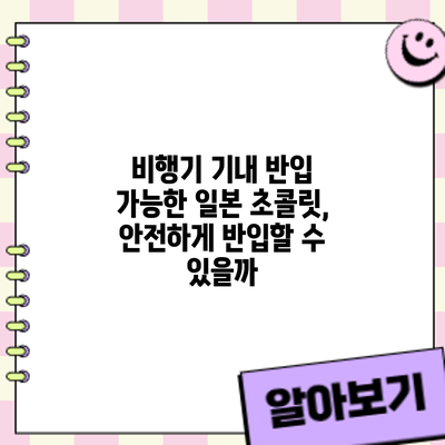 비행기 기내 반입 가능한 일본 초콜릿, 안전하게 반입할 수 있을까?