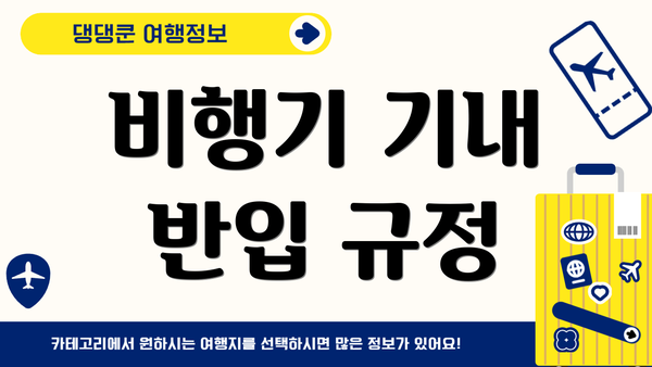 비행기 기내 반입 규정