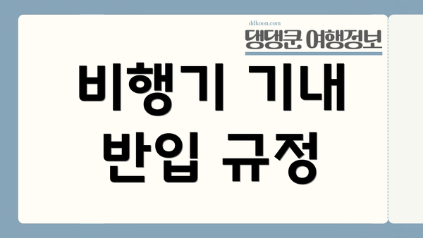 비행기 기내 반입 규정