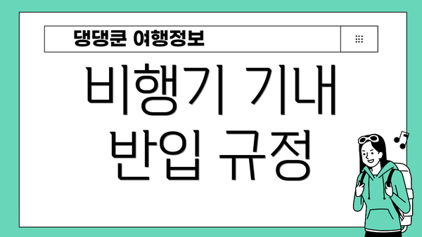 비행기 기내 반입 규정