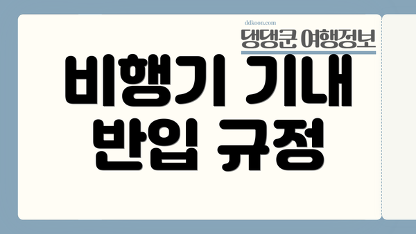 비행기 기내 반입 규정