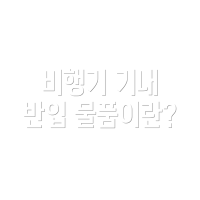 비행기 기내 반입 물품이란?