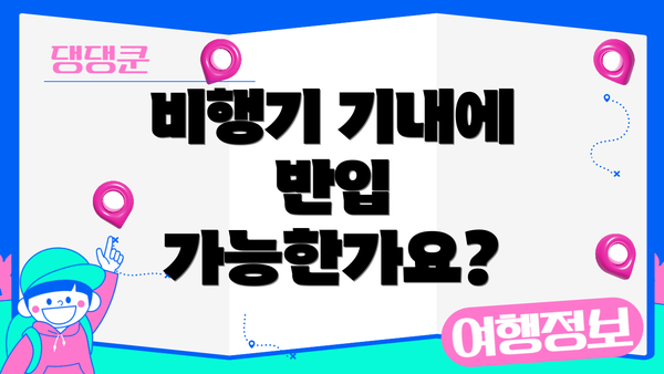 비행기 기내에 반입 가능한가요?
