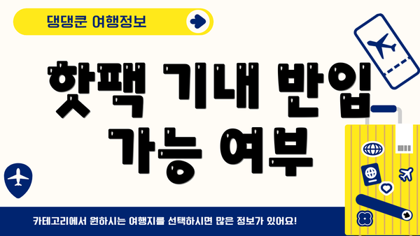 핫팩 기내 반입 가능 여부