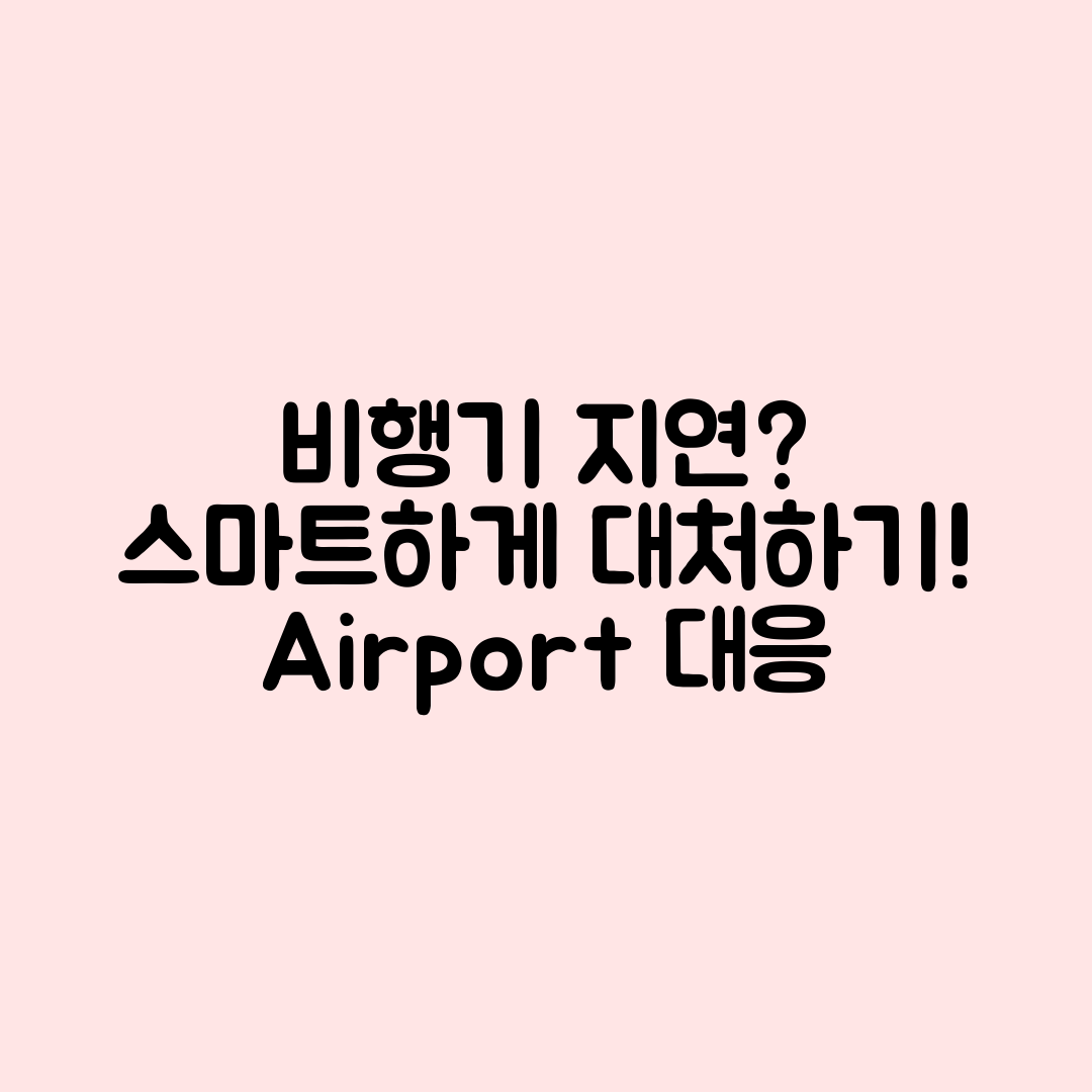 비행기 지연·결항 시, 공항에서의 스마트한 대응법은?