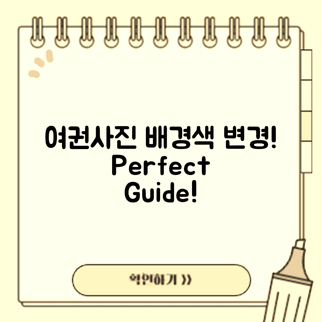 여권사진 배경색 변경 완벽 가이드