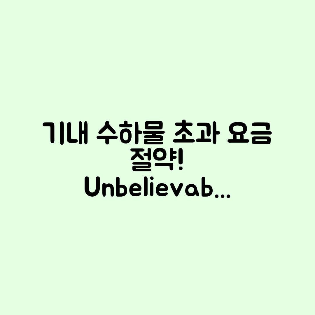 믿을 수 없는 기내 수하물 초과 요금 절약법!