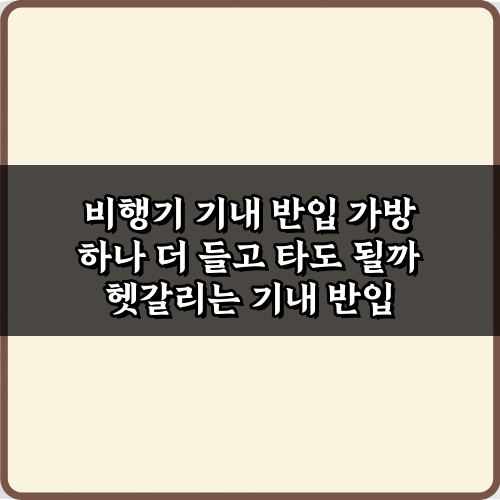 비행기 기내 반입 가방 하나 더 들고 타도 될까? 3가지 꿀팁 총정리