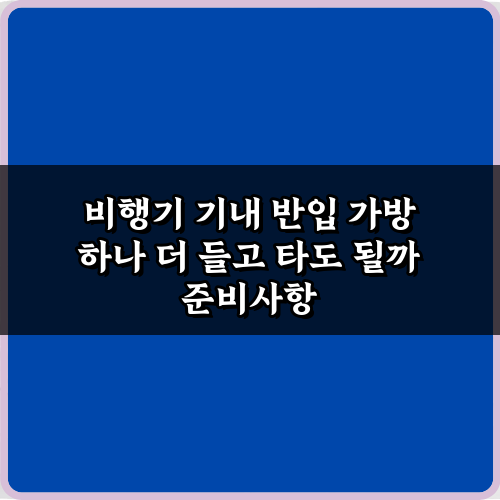 비행기 기내 반입 가방 하나 더 들고 타도 될까? 3가지 꿀팁 총정리
