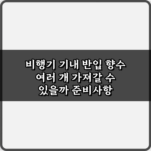 비행기 기내 반입 향수 여러 개 가져갈 수 있을까? 3가지 꿀팁