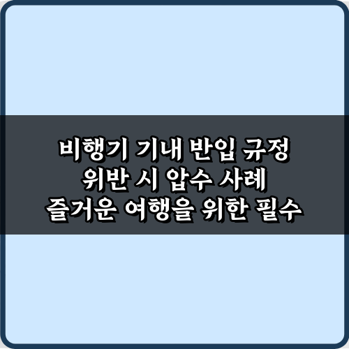 이것 모르고 타면 압수! 비행기 기내 반입 규정 위반 시 압수 사례 5가지