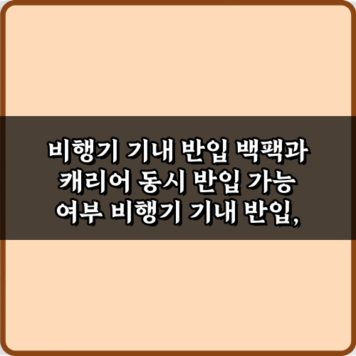 비행기 기내 반입 백팩과 캐리어 동시 반입 가능 여부? 3가지 꿀팁!