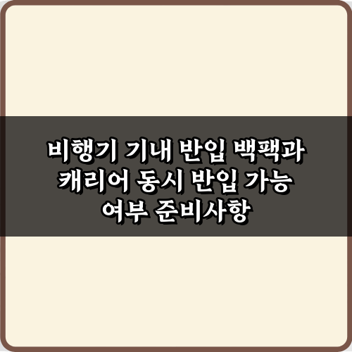비행기 기내 반입 백팩과 캐리어 동시 반입 가능 여부? 3가지 꿀팁!