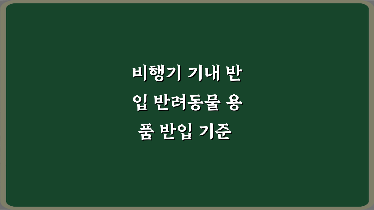 비행기 기내 반입 반려동물 용품 반입 기준 정리 총정리 7가지
