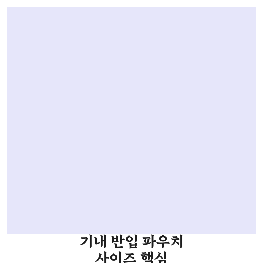 비행기 기내 반입 파우치 추천 사이즈 기준 심층분석 7가지 핵심팁