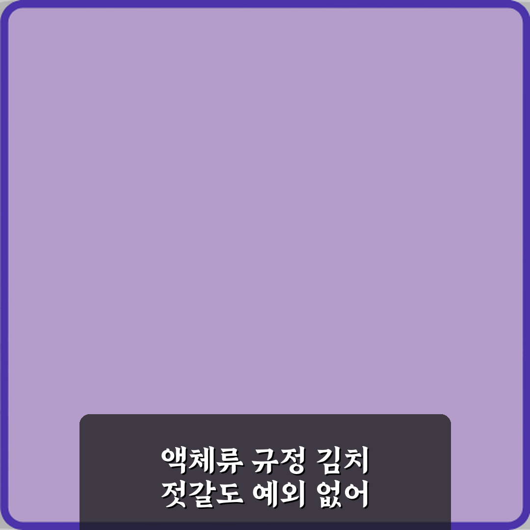 비행기 기내 반입 김치 젓갈 반입 가능할까? 완벽 가이드 7단계