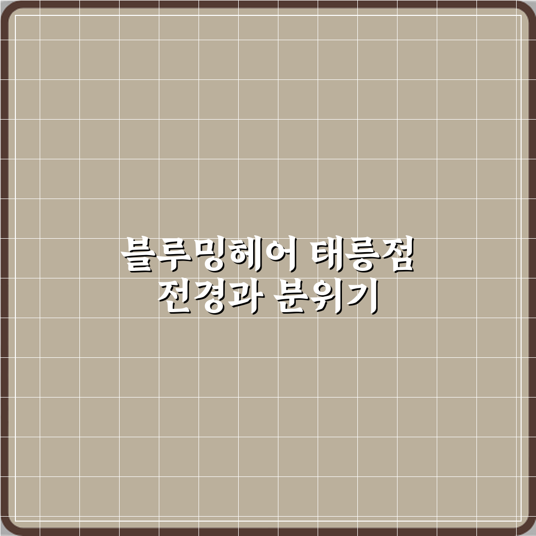 블루밍헤어 태릉입구점 방문기 | 전문가 추천 미용실 리뷰