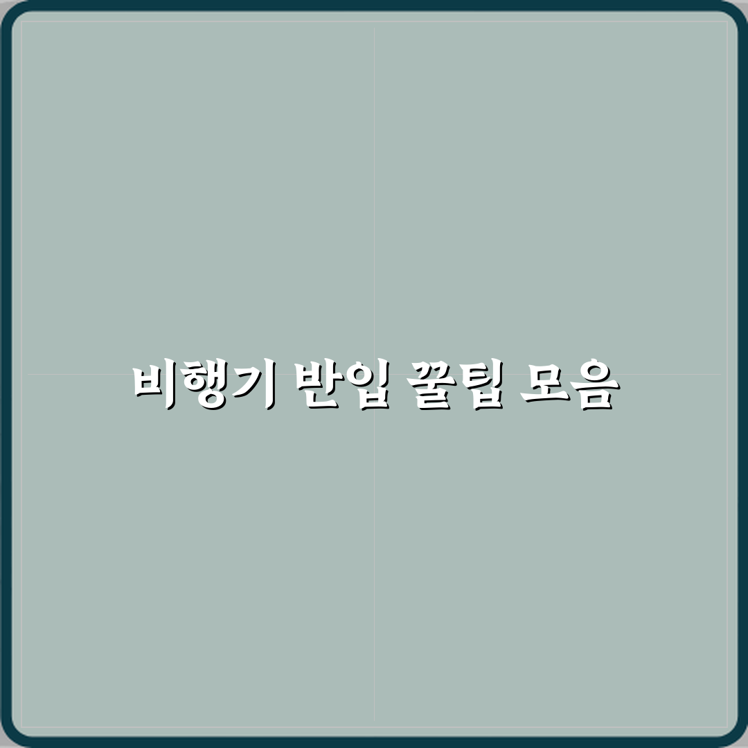 비행기 기내 반입 관련 자주 묻는 질문 모음 체험기, 직접 써보니 꿀팁 가득
