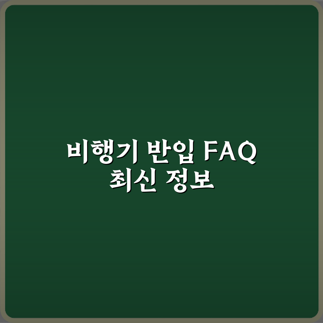 비행기 기내 반입 관련 자주 묻는 질문 모음 체험기, 직접 써보니 꿀팁 가득