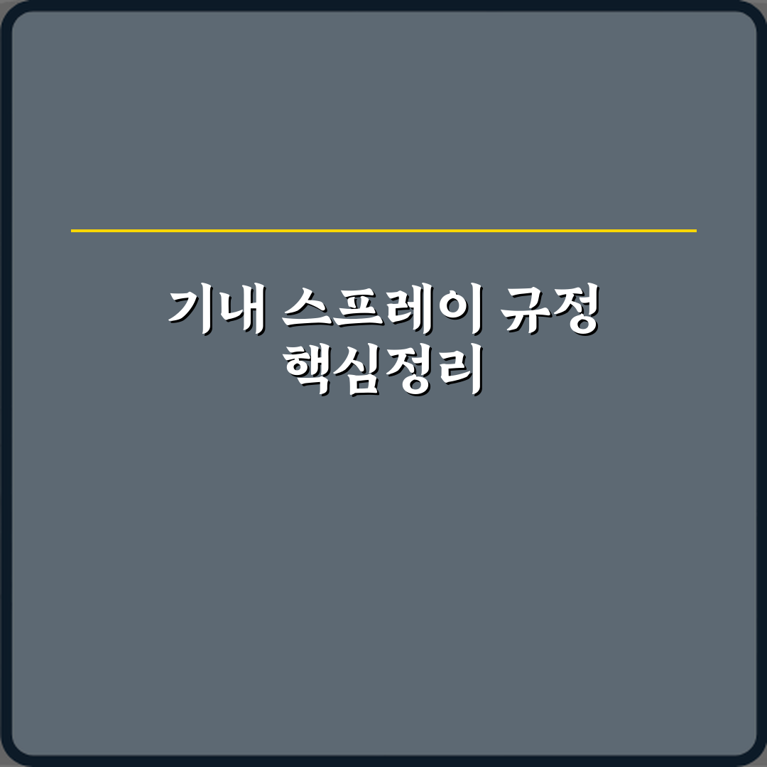 비행기 기내 반입 스프레이형 제품 규정 정리 총정리 7가지 핵심사항