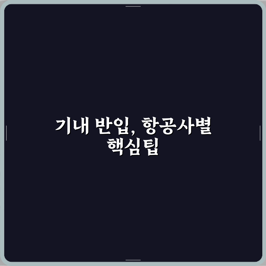 비행기 기내 반입 제주항공 진에어 티웨이 규정 A to Z 7가지 완벽가이드